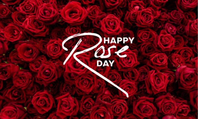 happy rose day 2021 wallpaper download hd