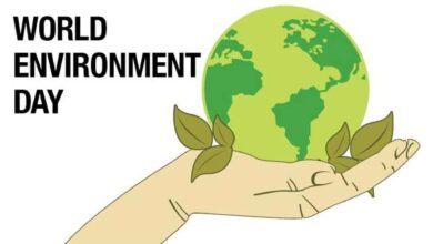 Photo of World Environment Day 2021: Posters, Quotes, and Significance