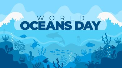 Photo of World Ocean Day 2021: Theme, quotes, and poster