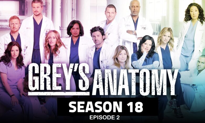 Grey's Anatomy Poster by ABC with all the doctors