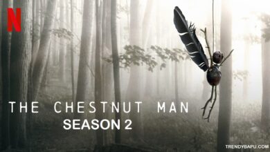 Photo of The Chestnut Man Season 2 – Release Date, Plot, Cast and Everything
