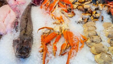 Photo of Healthy and sustainable eating: seafood is better than meat – these aspects must be considered