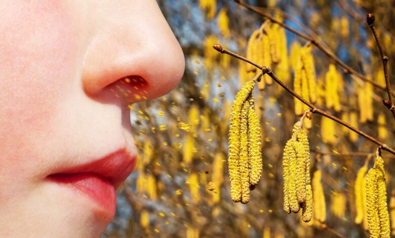 Pollen Makes You More Susceptible to Infections - Even Without Allergies - Heilpraxis