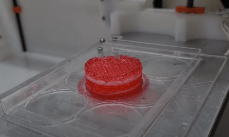 Senai already makes bioprinted steaks;  let's see when it will be on the plate of brazilians