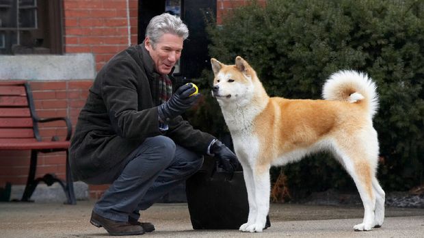 Hachi: A Dog's Tale