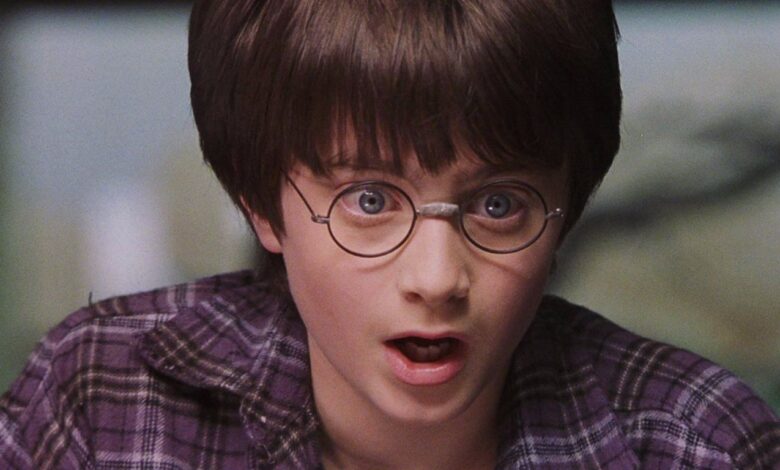 the inevitable future of the Harry Potter movies