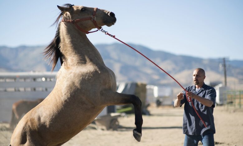 Mustang Review [Netflix] - Review in FilmTotaal