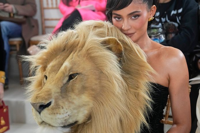 Kylie Jenner in her lion dress.